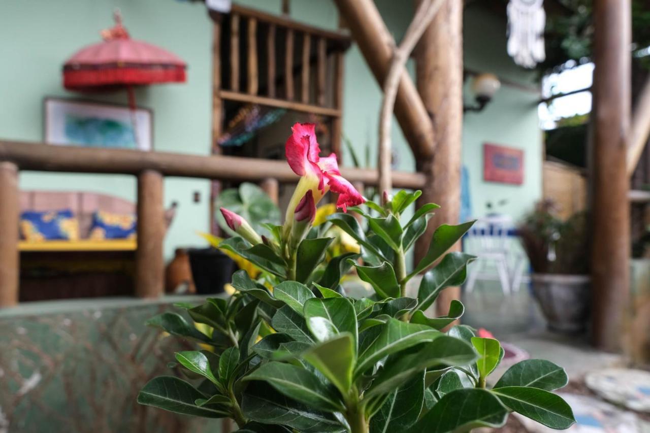 Velinn Gaia Gardens * Paraty